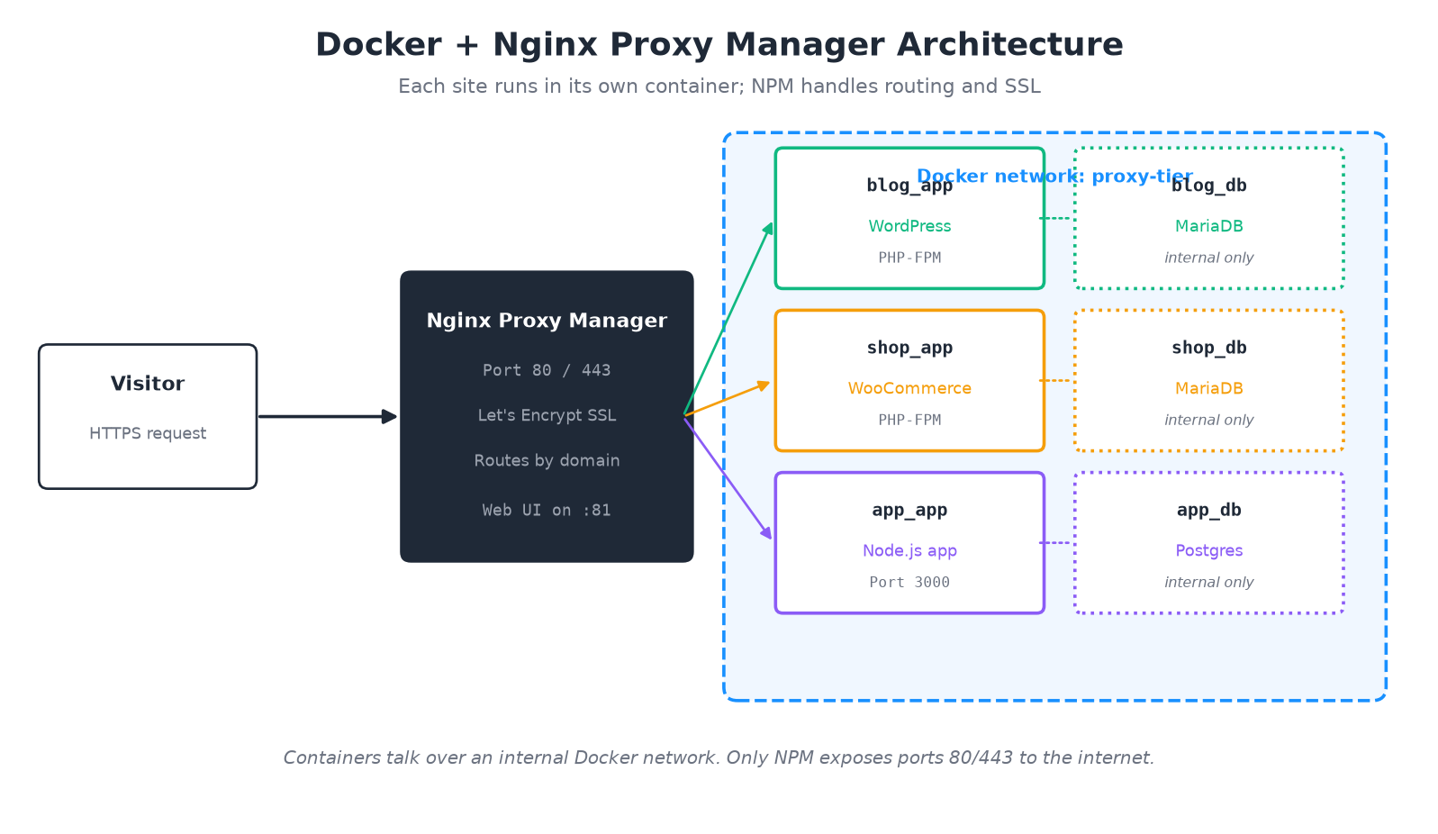 Docker Nginx Proxy Manager architecture for multiple websites on one VPS