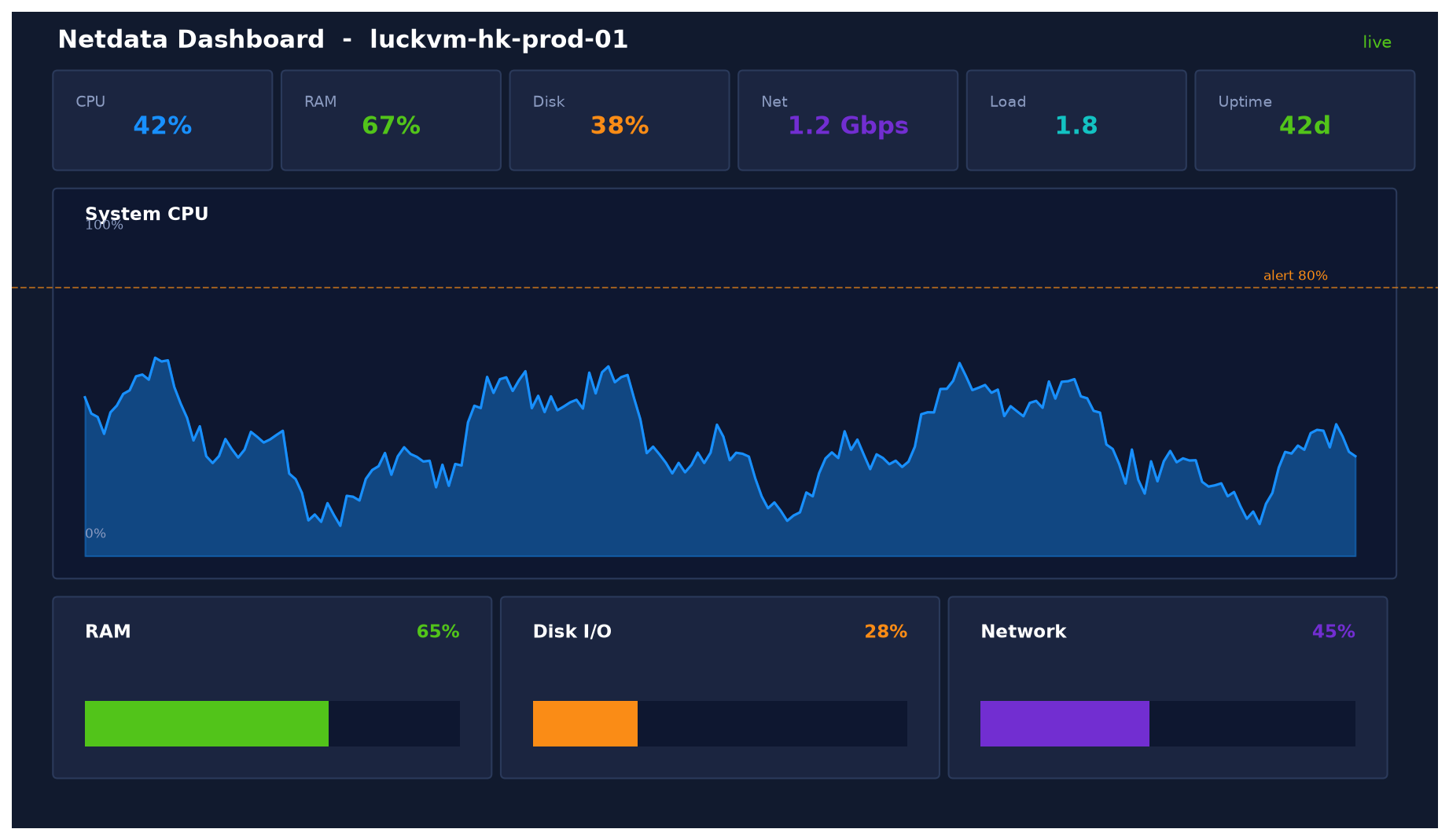 Netdata dashboard showing CPU, RAM, disk, network metrics and alerts